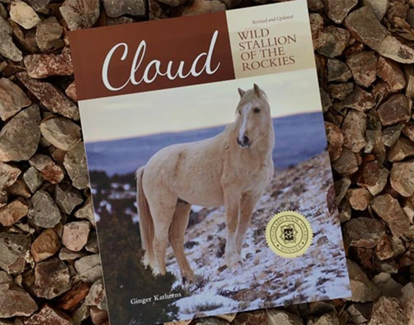 NEW DESIGN! * Cloud: Challenge of the Stallions! — The Cloud
